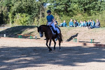 Bild 77 - Pony Akademie Turnier